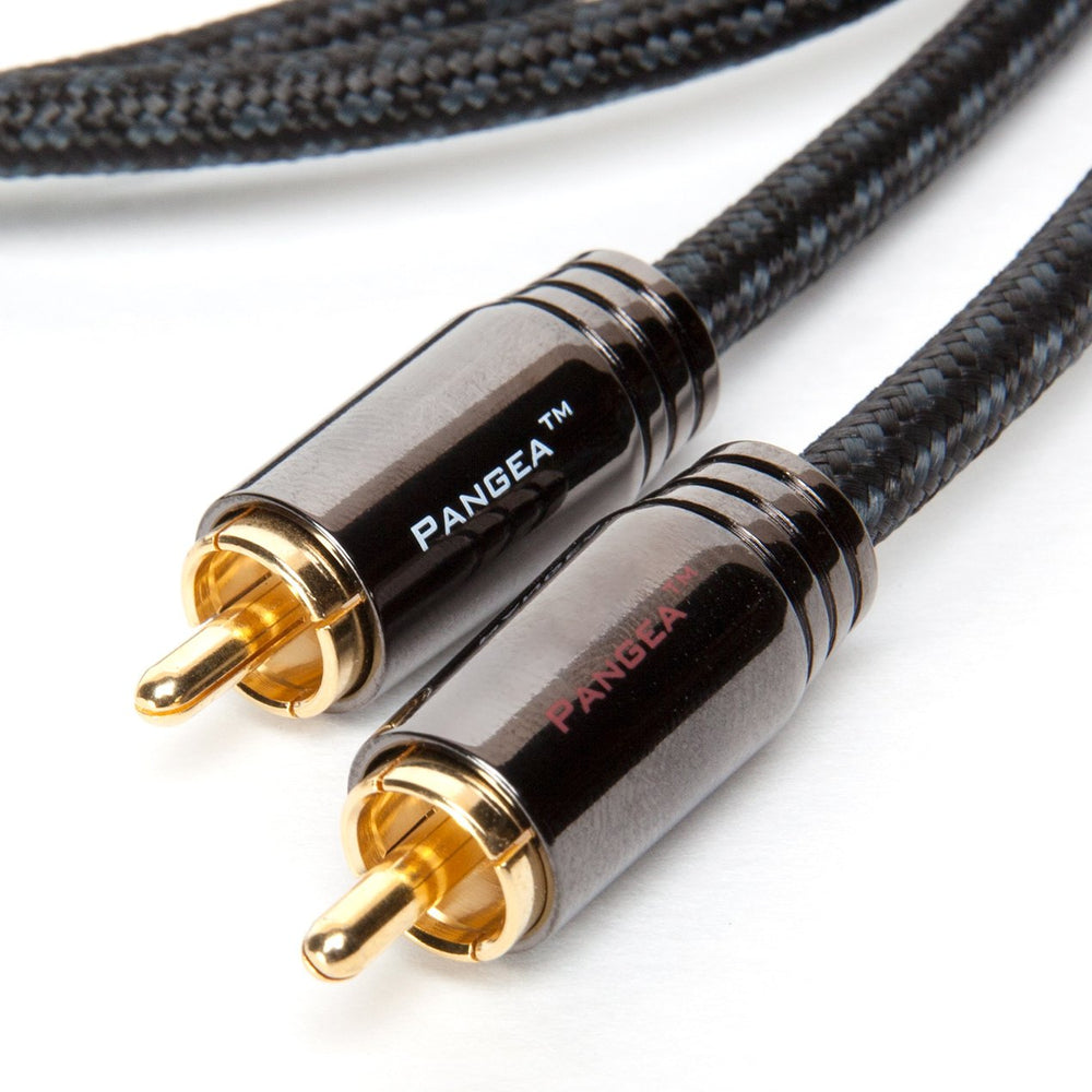 
                      
                        Cable Pangea Audio Premier SE RCA-RCA AmbientSolutions
                      
                    