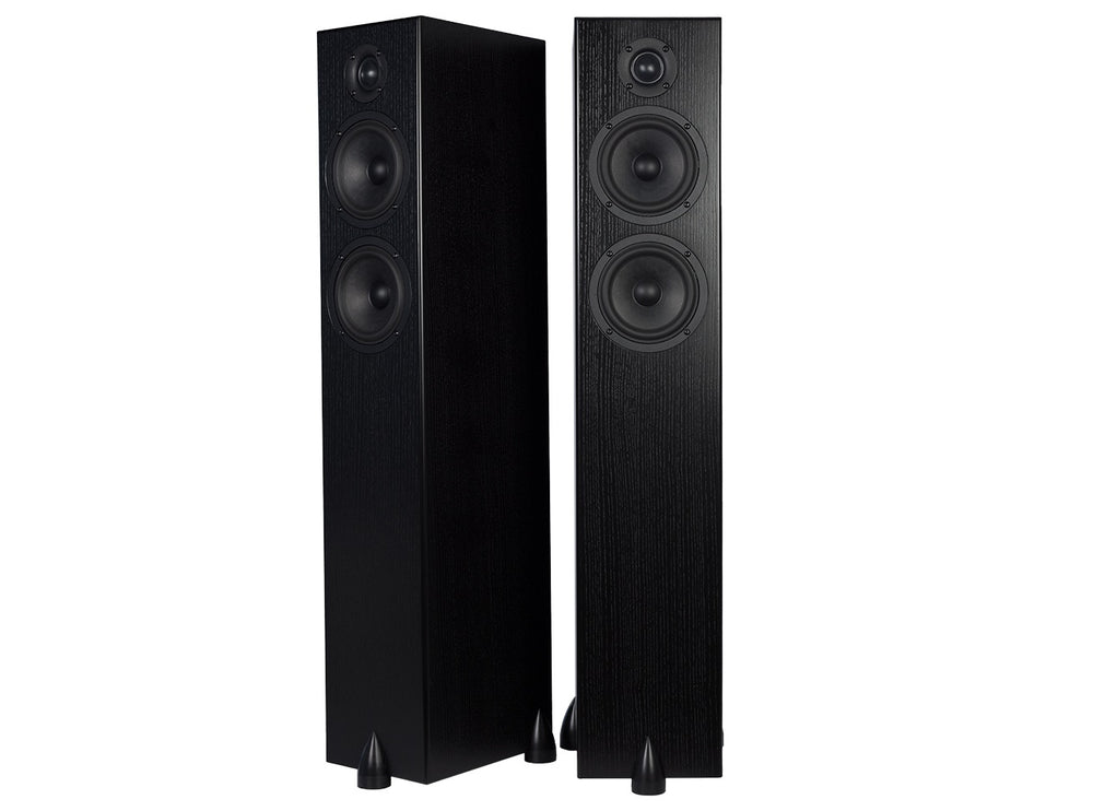 
                      
                        Totem Acoustic Bison Twin Tower AmbientSolutions
                      
                    