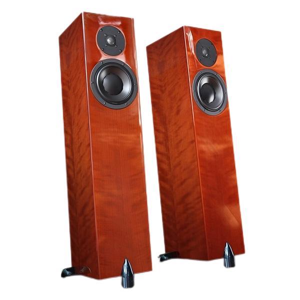 Totem Acoustic Forest Signature - AmbientSolutions