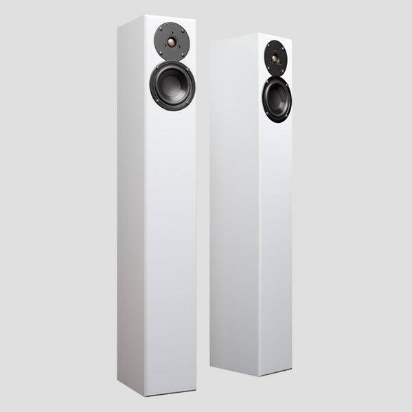 Totem Acoustic Arro