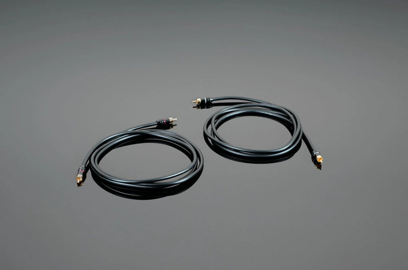 Cable de Audio RCA.