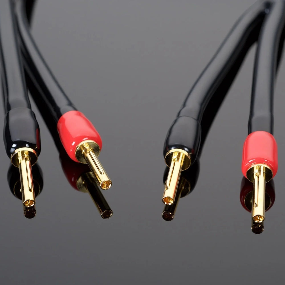 
                      
                        Cable para bocinas Hi-Fi WAVE | Transparent Audio
                      
                    