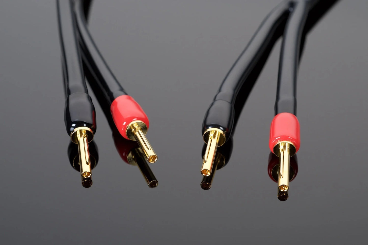 Cable para bocinas Hi-Fi WAVE | Transparent Audio